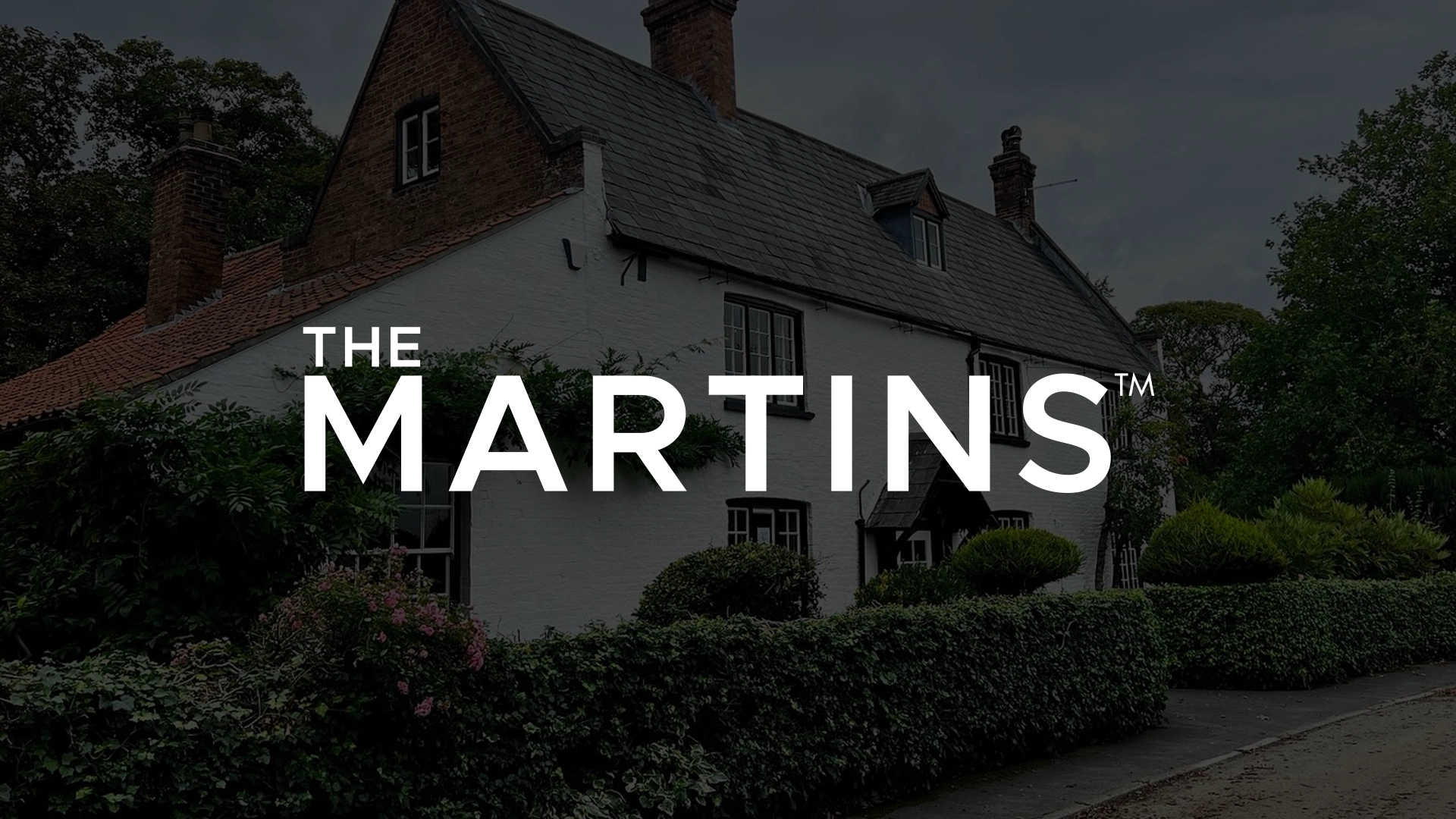 THE MARTINS BY LAURENCE HENRY